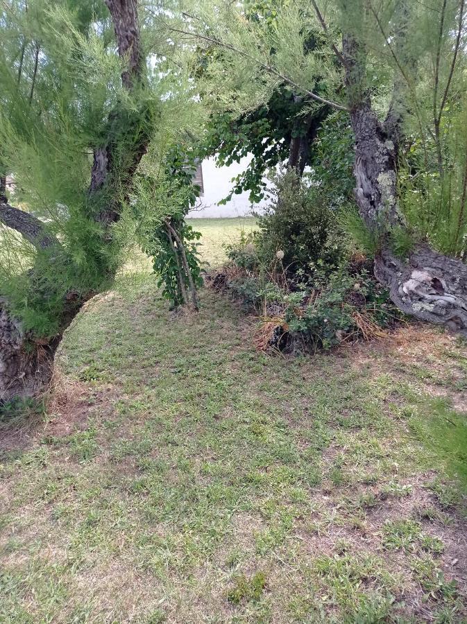 La Maison De Papou La Vigne A Les Pins 83860
